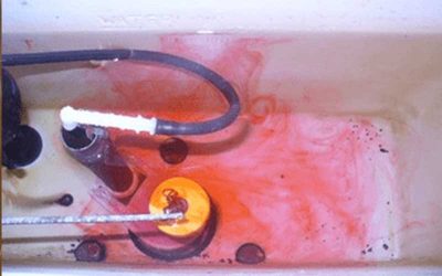 How to Detect if Your Toilet Tank is Leaking